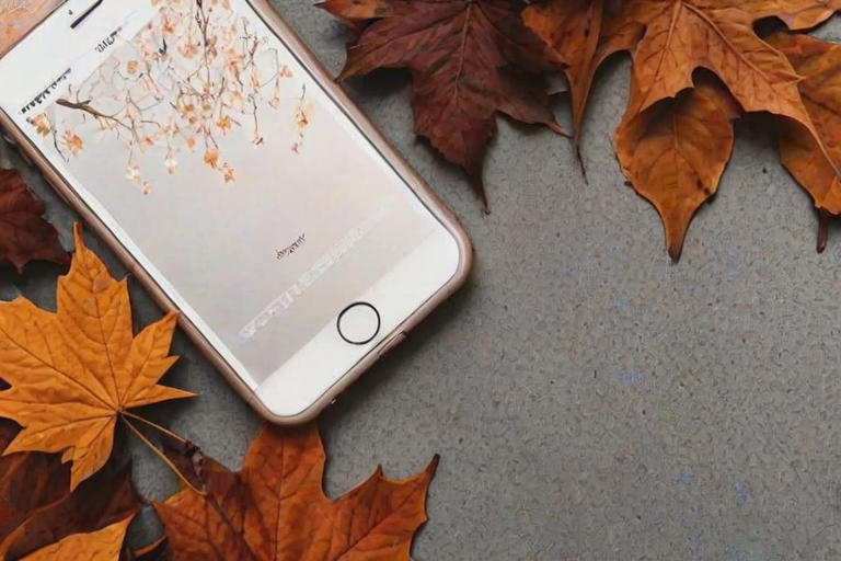 fall aesthetic wallpaper iphone