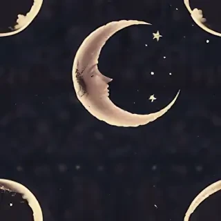 aesthetic crescent moon