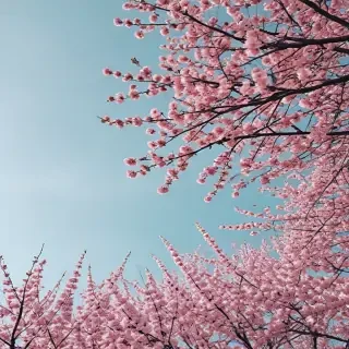 aesthetic spring wallpaper
