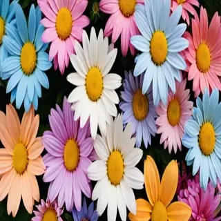 iphone wallpaper flowers