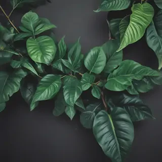 plants background iphone