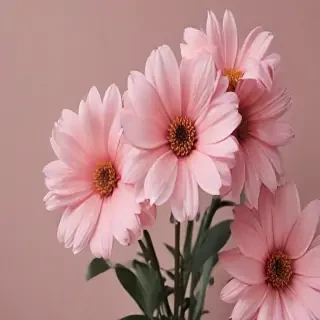 aesthetic flower desktop wallpaper