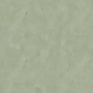 sage green backround