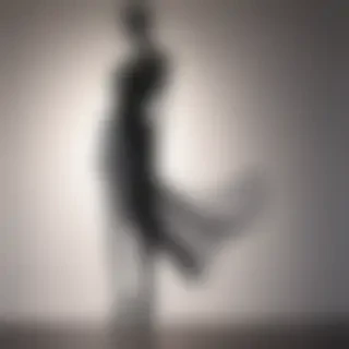 shadow transparent