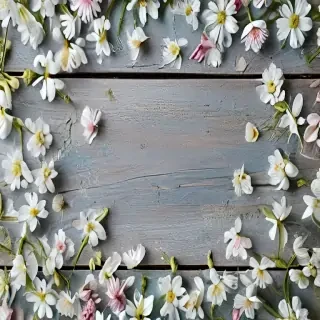 spring walpaper