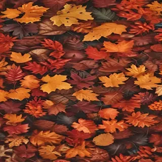 autumn wallpaper phone