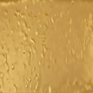 gold color
