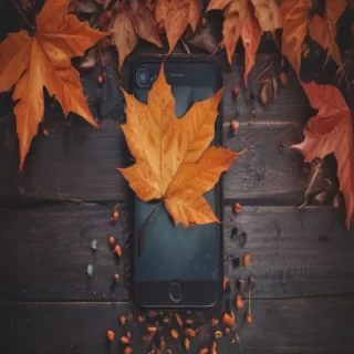 fall aesthetic wallpaper iphone