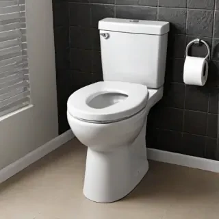toilet png