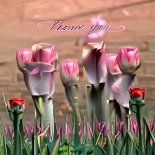 thank you image