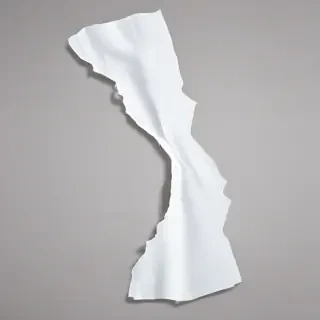 transparent background ripped paper