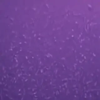 aesthetic wallpapers iphone purple