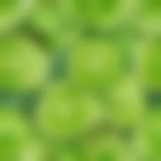 lime green background
