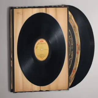 vynil record png