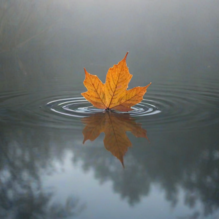 Soft-focus image of a single autumn leaf floating on the surface of a still pond, soft morning mist rising from the water, with distant trees reflected in the glassy surface.