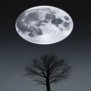 transparent moon