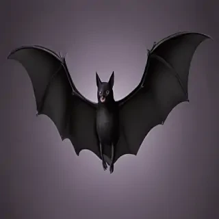 halloween bats images