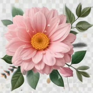 flower clipart transparent background