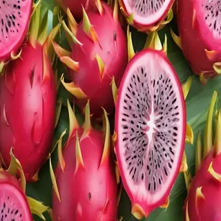 dragon fruit png