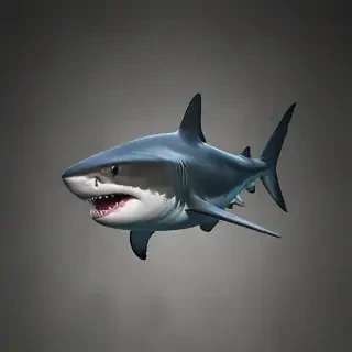 shark iphone wallpaper