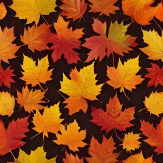 fall leaves png