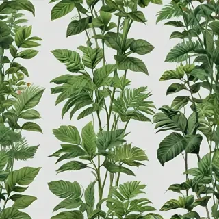 plants transparent background