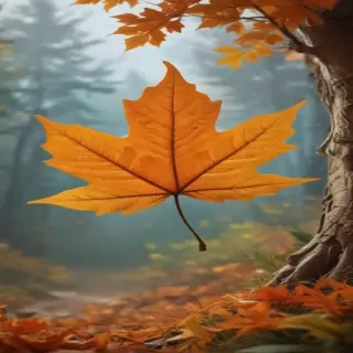 fall leaf png
