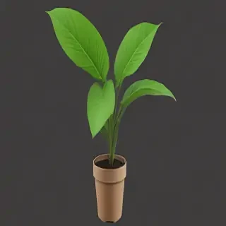 plant png clipart