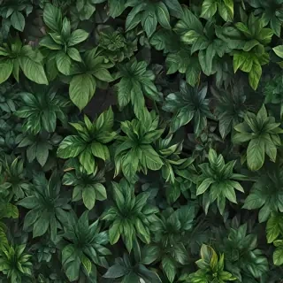 zoom background plants