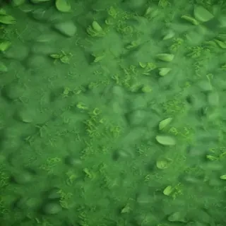 background green texture