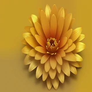 gold flower png