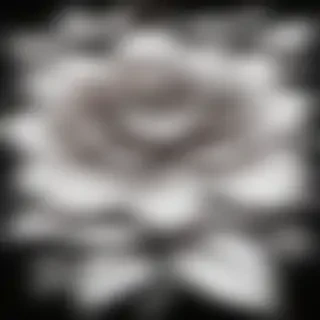 flower drawing for coloring