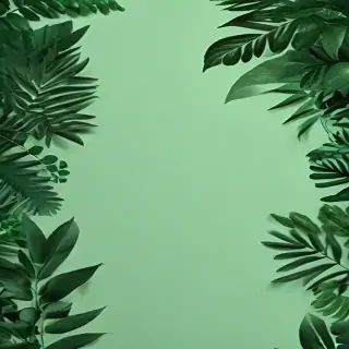 aesthetic green background