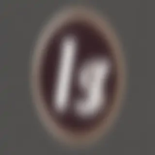 ig logo