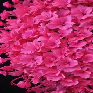 neon pink wallpaper