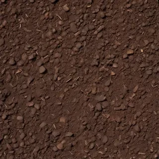 soil png