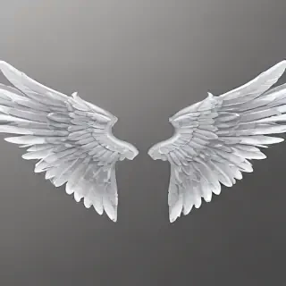 wings transparent
