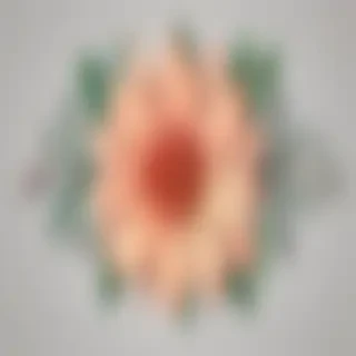 flower outline png