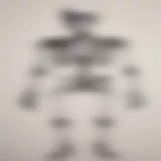 creative skeleton drawings