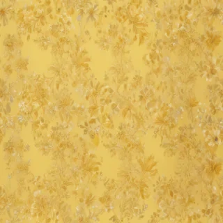 plain yellow bg