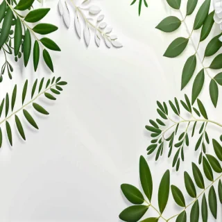 white and greenery background