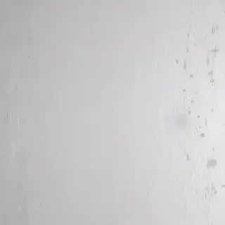 white grey background