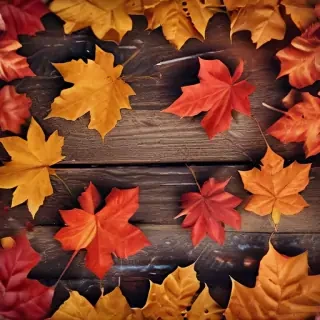 autumn background iphone