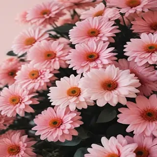 aesthetic flower desktop wallpaper