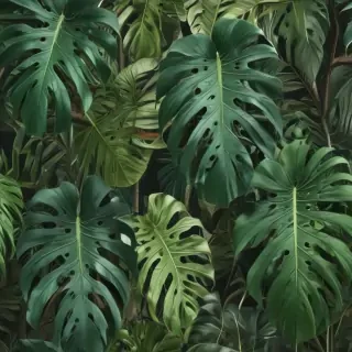 aesthetic monstera wallpaper