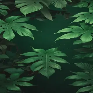 aesthetic background green
