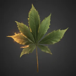 pot leaf png