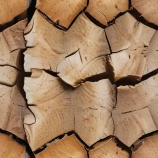 cracking texture