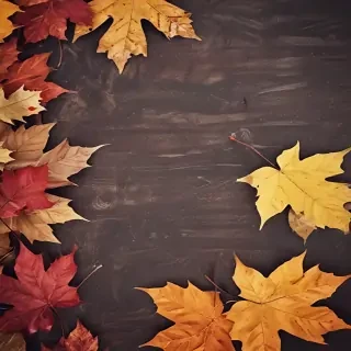 fall background wallpaper iphone