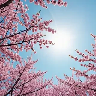 spring aesthetic desktop wallpaper